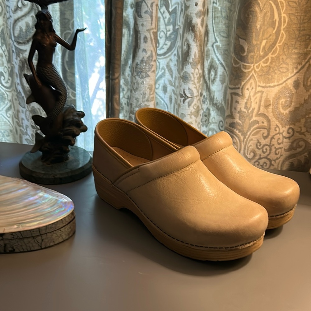 Dansko Clogs